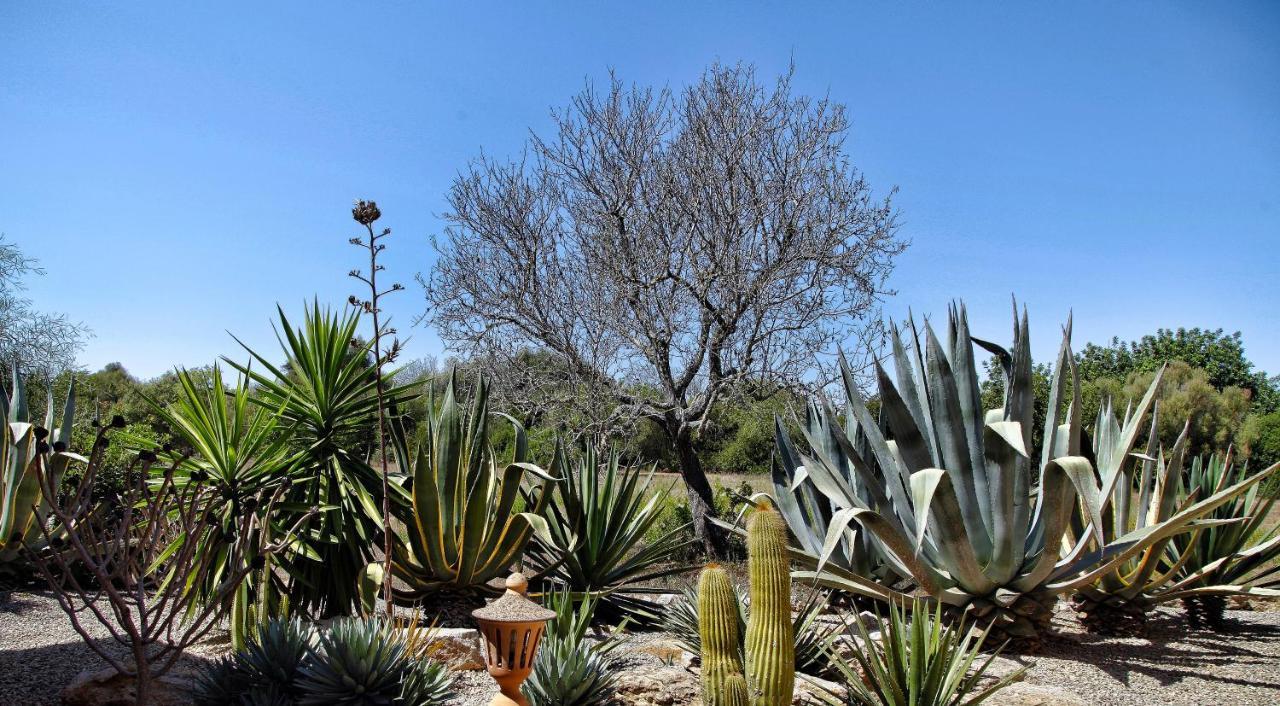 Finca Casa Mas Santanyí Dış mekan fotoğraf