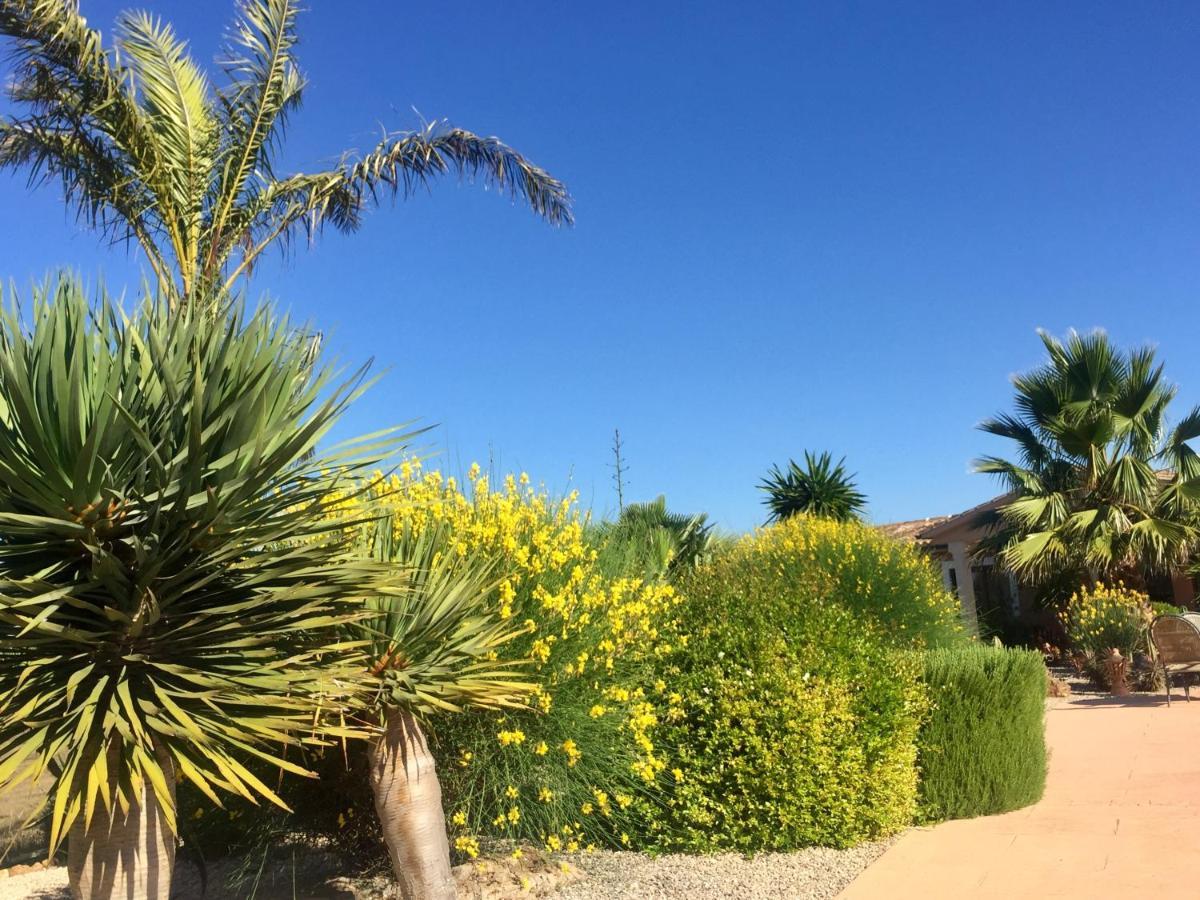 Finca Casa Mas Santanyí Dış mekan fotoğraf