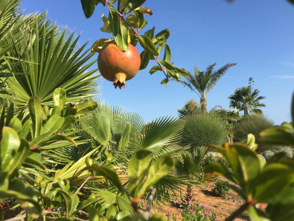 Finca Casa Mas Santanyí Dış mekan fotoğraf